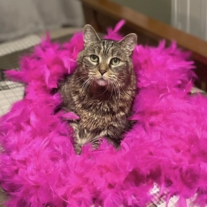 Fundraising Page: Kathleen Kerwin